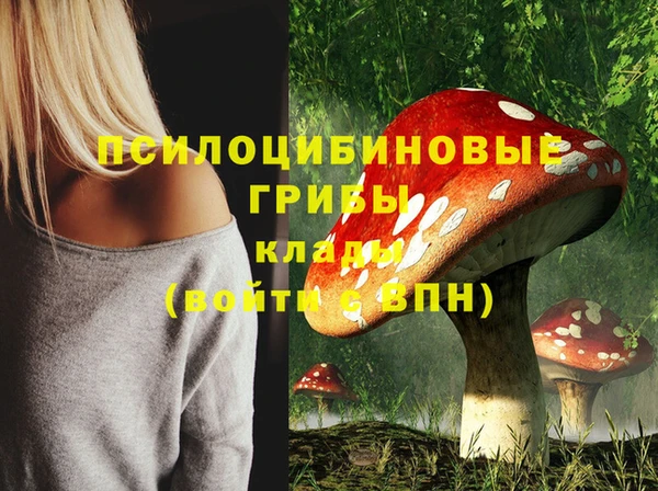 бошки Абинск
