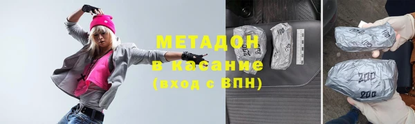 прущие грибы Абаза