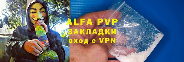 прущие грибы Абаза