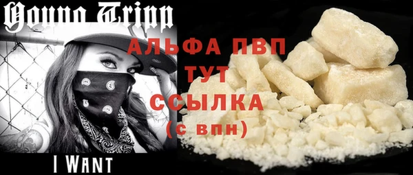 прущие грибы Абаза