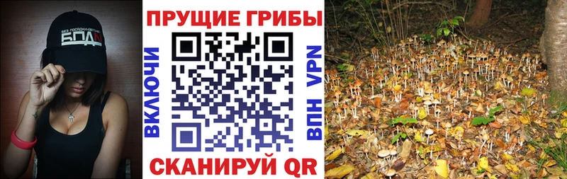 Галлюциногенные грибы мухоморы  KRAKEN маркетплейс  Татарск 